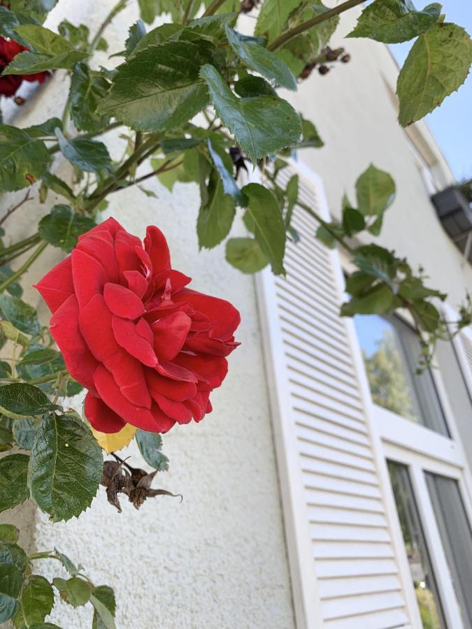 Insel Hus Βίλα Φέμαρν Εξωτερικό φωτογραφία